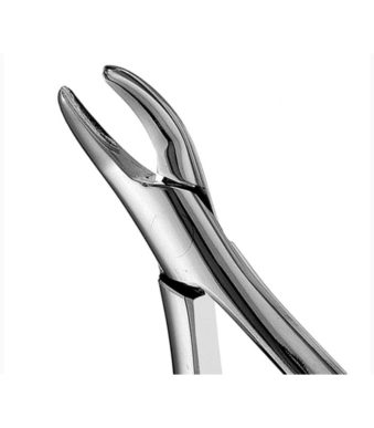 101-hull-upper-lower-premolar-forceps