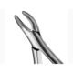 101-hull-upper-lower-premolar-forceps
