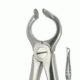 lower roots forcep 68 e